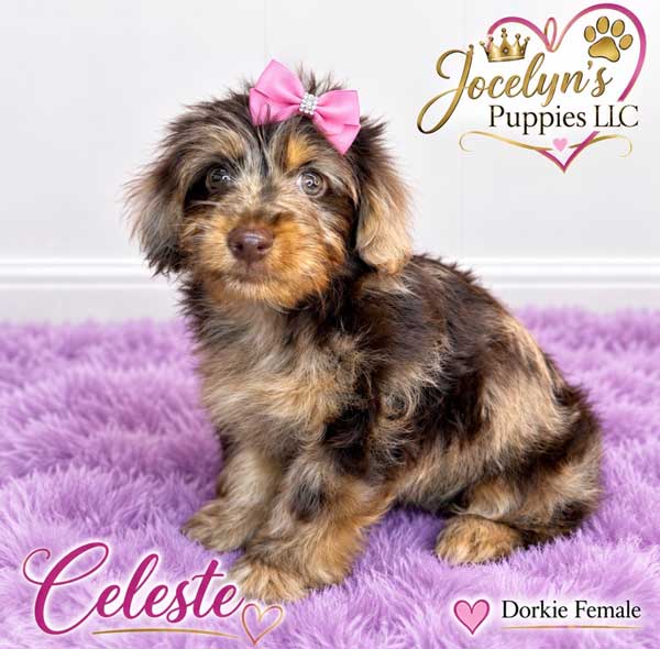 Celeste