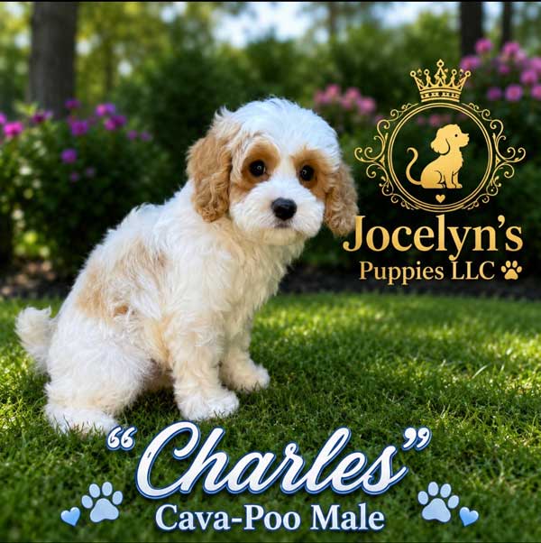Charles