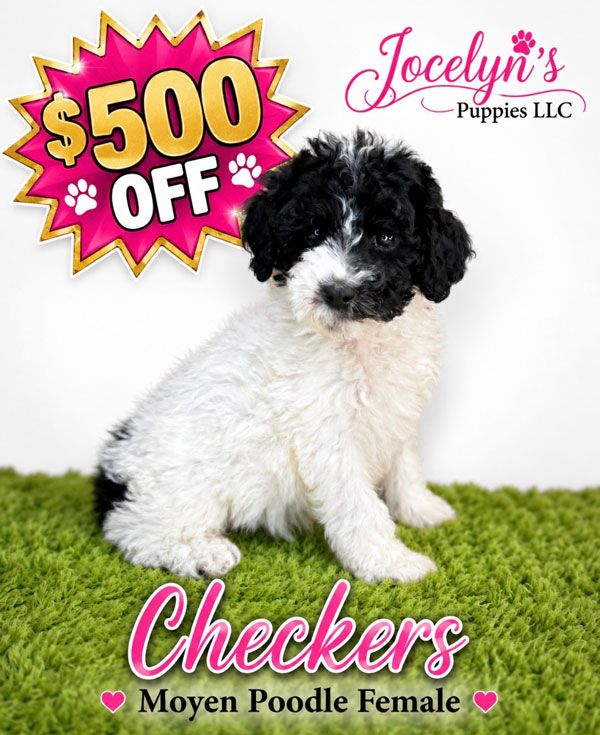 Checkers-2