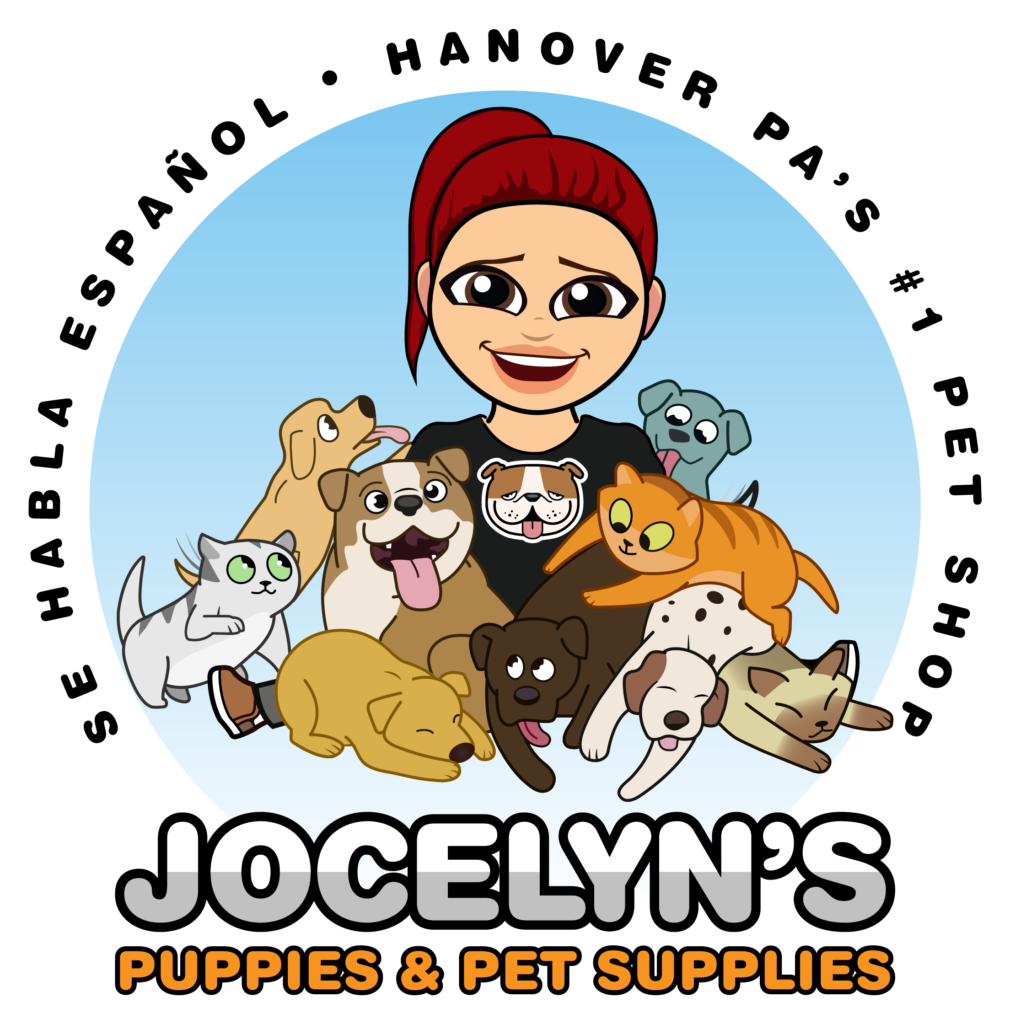 Home - Jocelyn's Puppies, Pets & Supplies