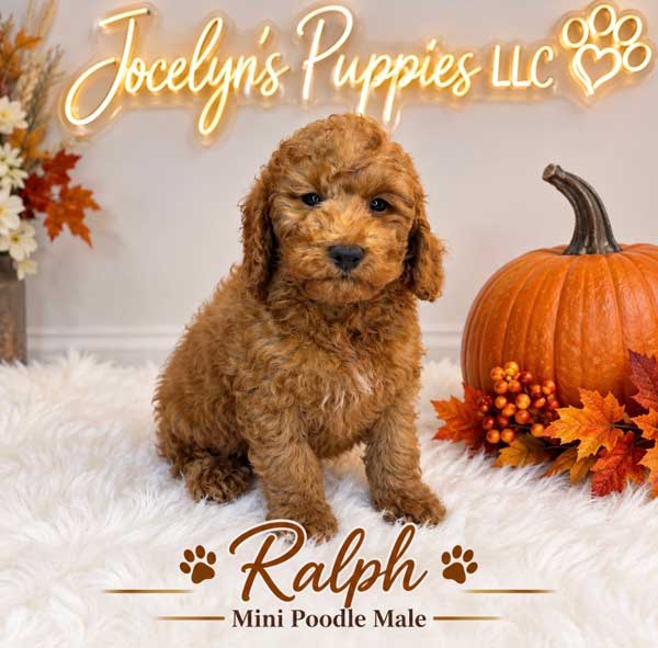 Ralph