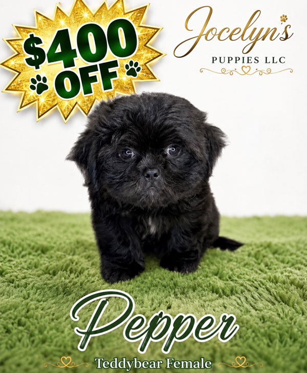 pepper-2