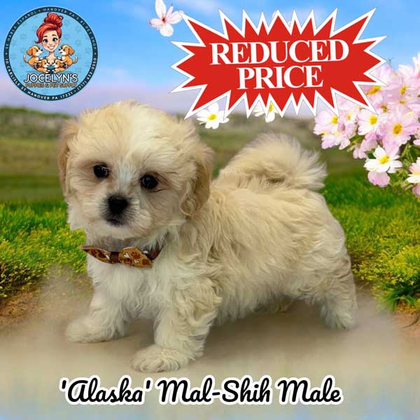 reduced-alaska