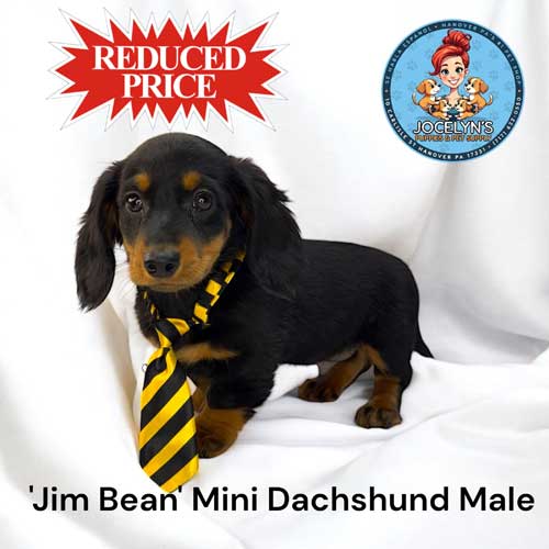 reduced-jim-bean